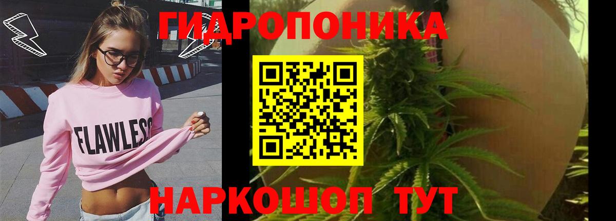 Жуковский  Канабис THC 21%  МАРИХУАНА тримм  Вход с VPN  МАРИХУАНА OG Kush  Каннабис THC 21% 